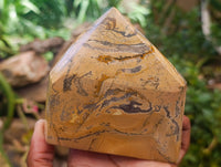 Polished Picture Stone Jasper Standing Free Forms x 2 From Ais-Ais, Namibia