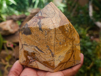 Polished Picture Stone Jasper Standing Free Forms x 2 From Ais-Ais, Namibia