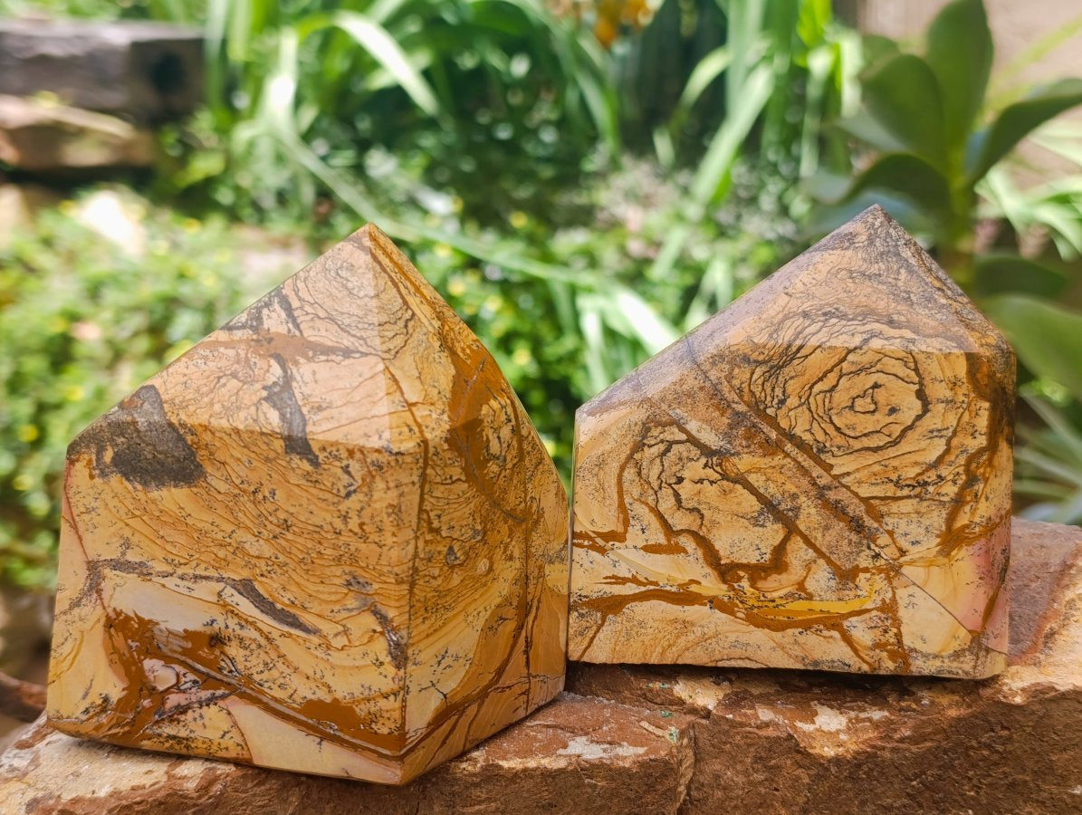 Polished Picture Stone Jasper Standing Free Forms x 2 From Ais-Ais, Namibia