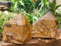 Polished Picture Stone Jasper Standing Free Forms x 2 From Ais-Ais, Namibia