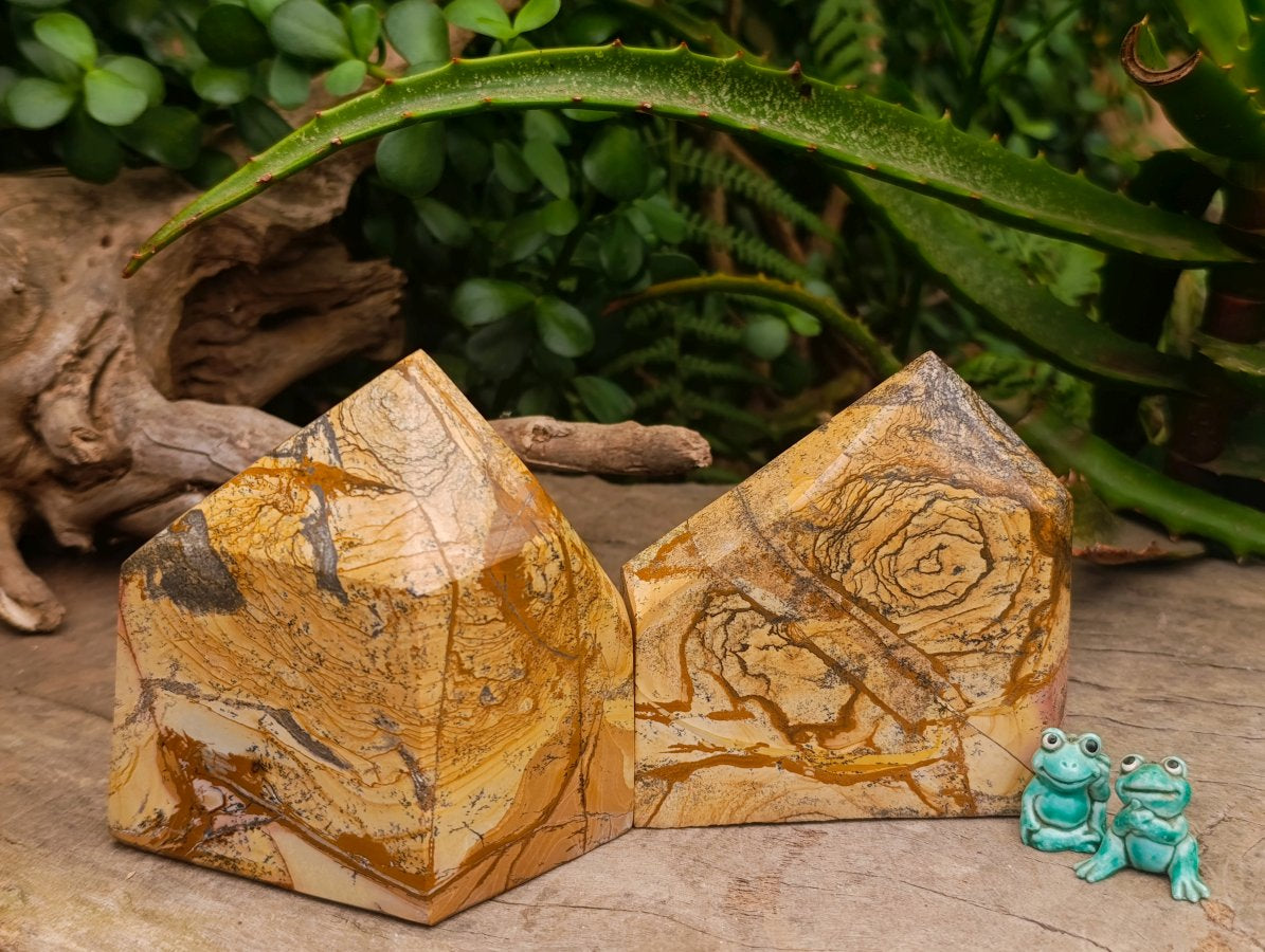 Polished Picture Stone Jasper Standing Free Forms x 2 From Ais-Ais, Namibia