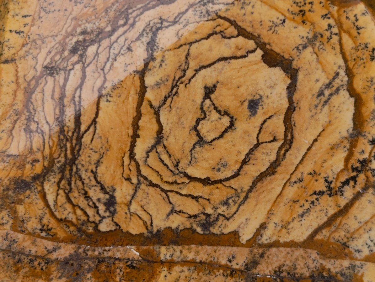 Polished Picture Stone Jasper Standing Free Forms x 2 From Ais-Ais, Namibia