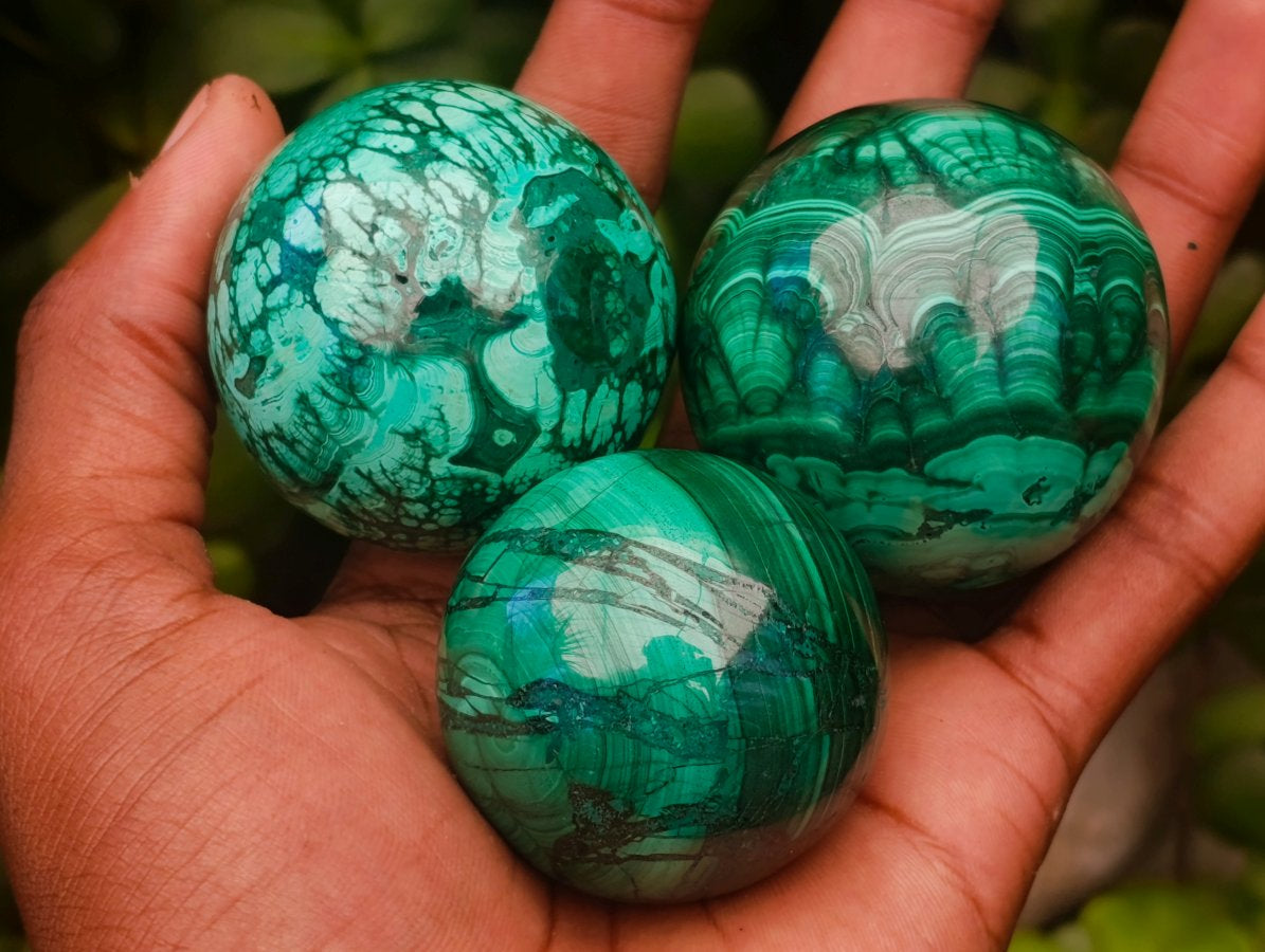 Polished Flower Banded Malachite Spheres x 6 From Congo