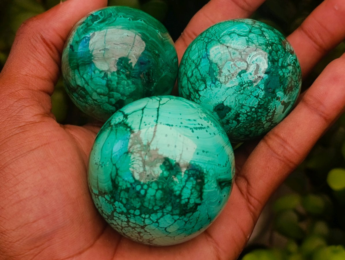 Polished Flower Banded Malachite Spheres x 6 From Congo