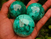 Polished Flower Banded Malachite Spheres x 6 From Congo