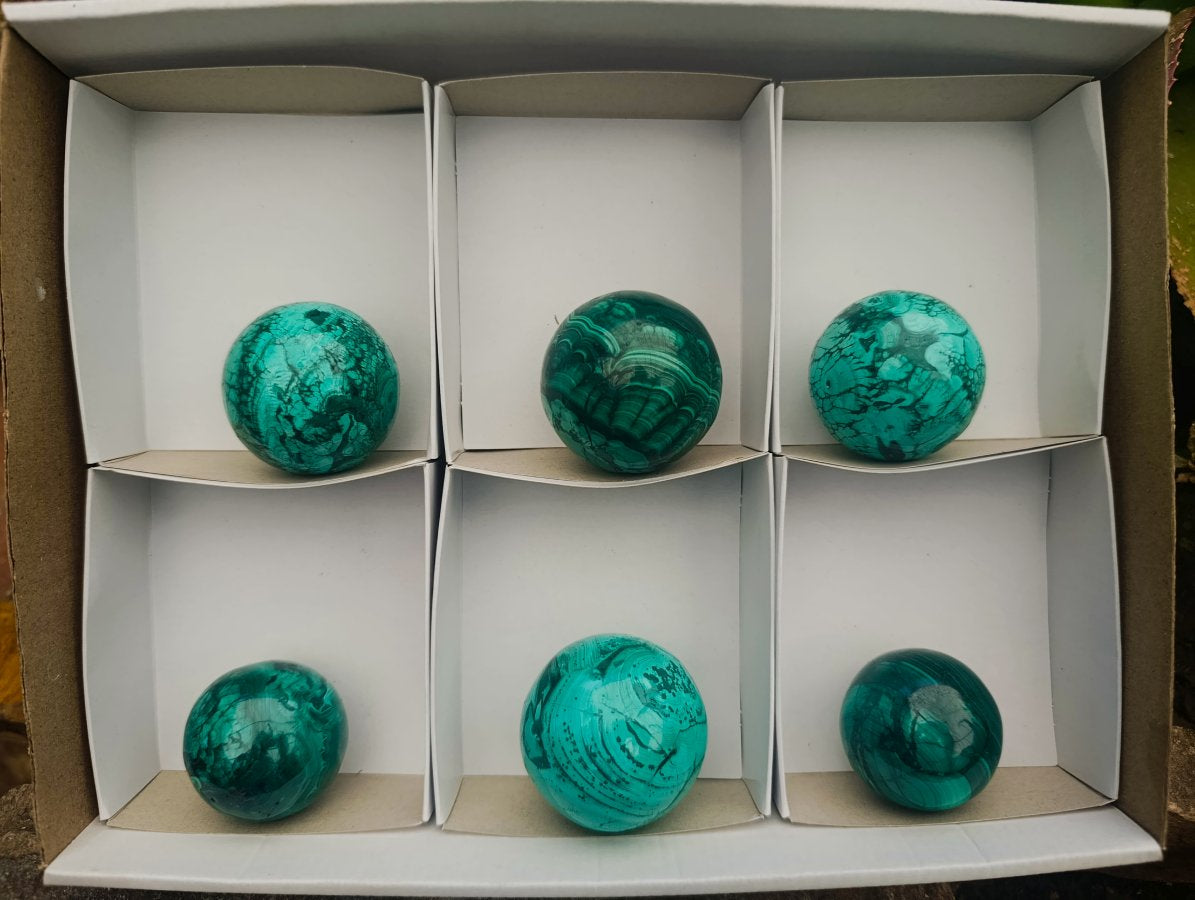 Polished Flower Banded Malachite Spheres x 6 From Congo