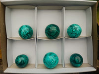 Polished Flower Banded Malachite Spheres x 6 From Congo