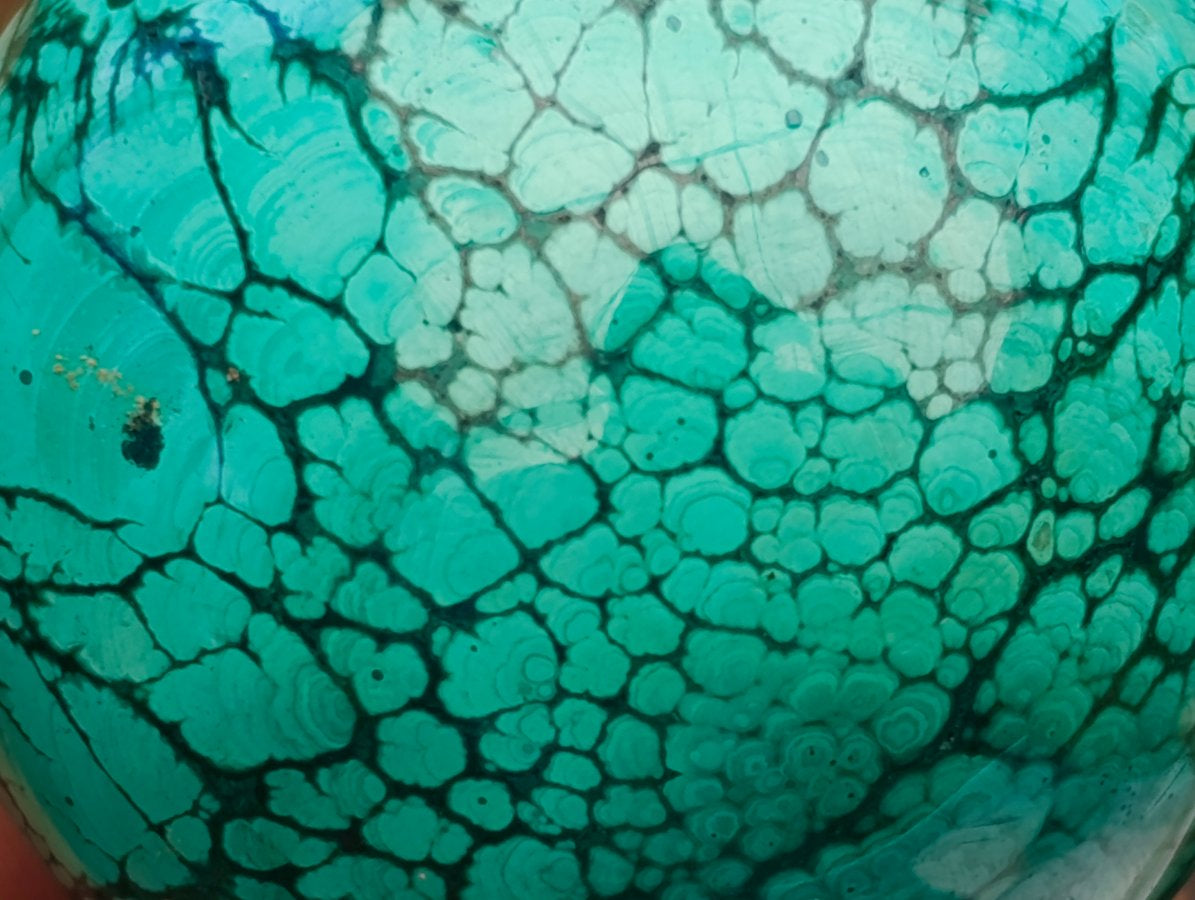 Polished Flower Banded Malachite Spheres x 6 From Congo