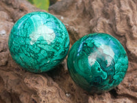 Polished Flower Banded Malachite Spheres x 6 From Congo