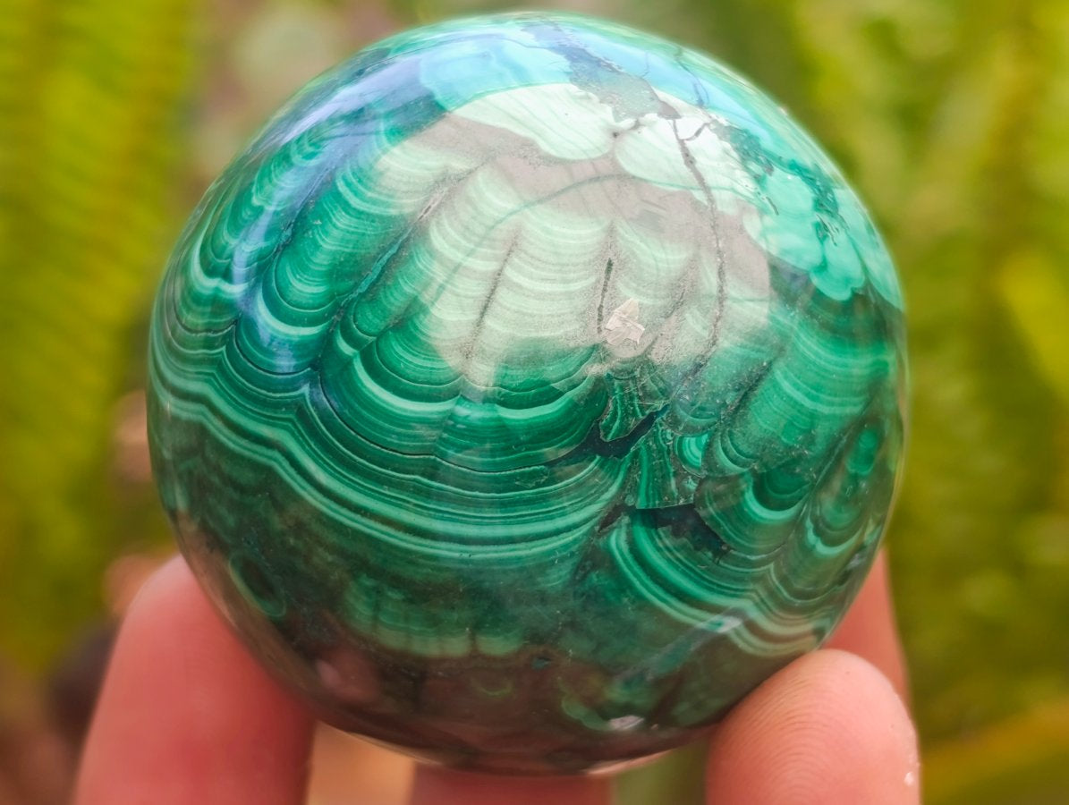 Polished Flower Banded Malachite Spheres x 6 From Congo