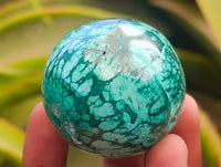 Polished Flower Banded Malachite Spheres x 6 From Congo