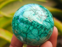 Polished Flower Banded Malachite Spheres x 6 From Congo