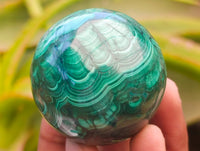 Polished Flower Banded Malachite Spheres x 6 From Congo