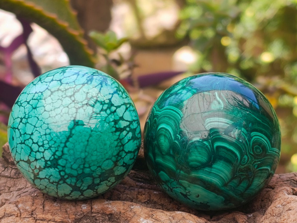 Polished Flower Banded Malachite Spheres x 6 From Congo