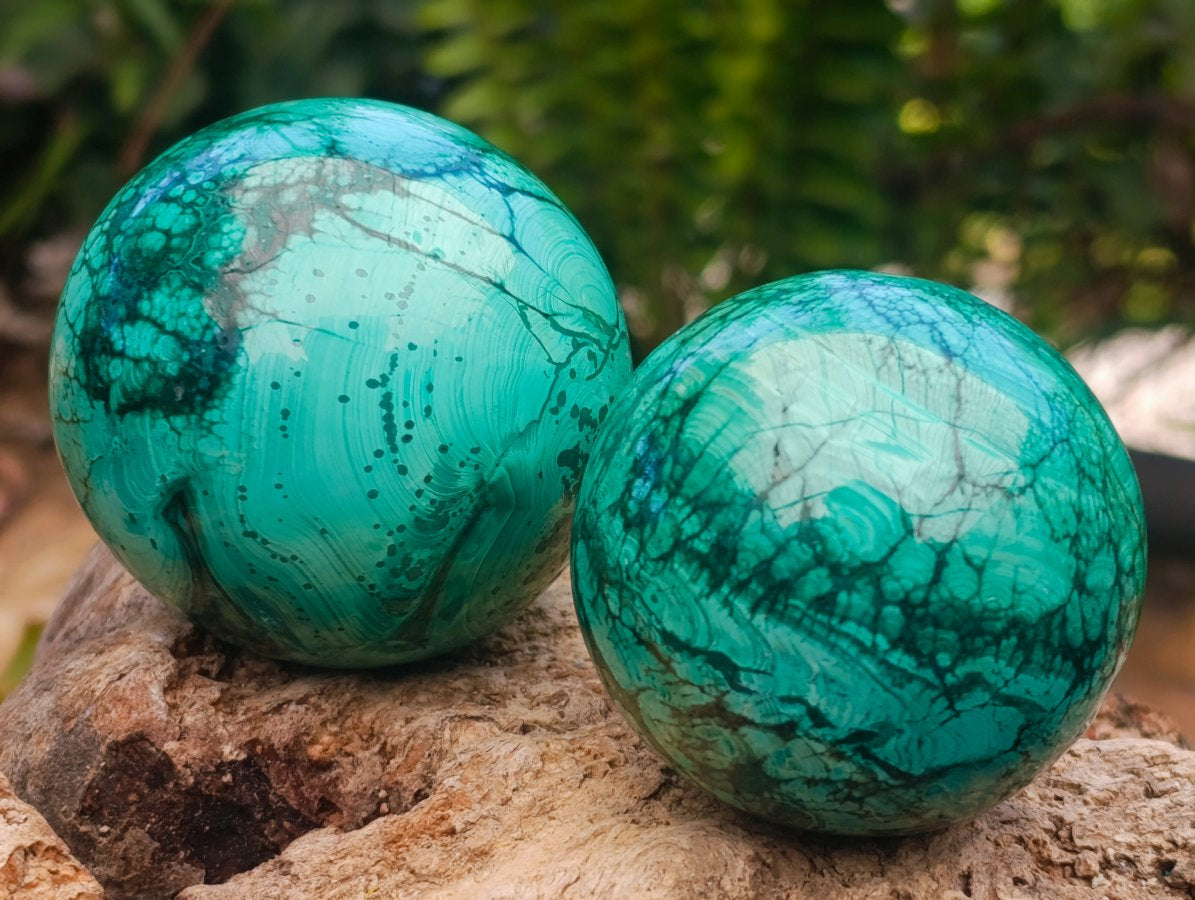 Polished Flower Banded Malachite Spheres x 6 From Congo