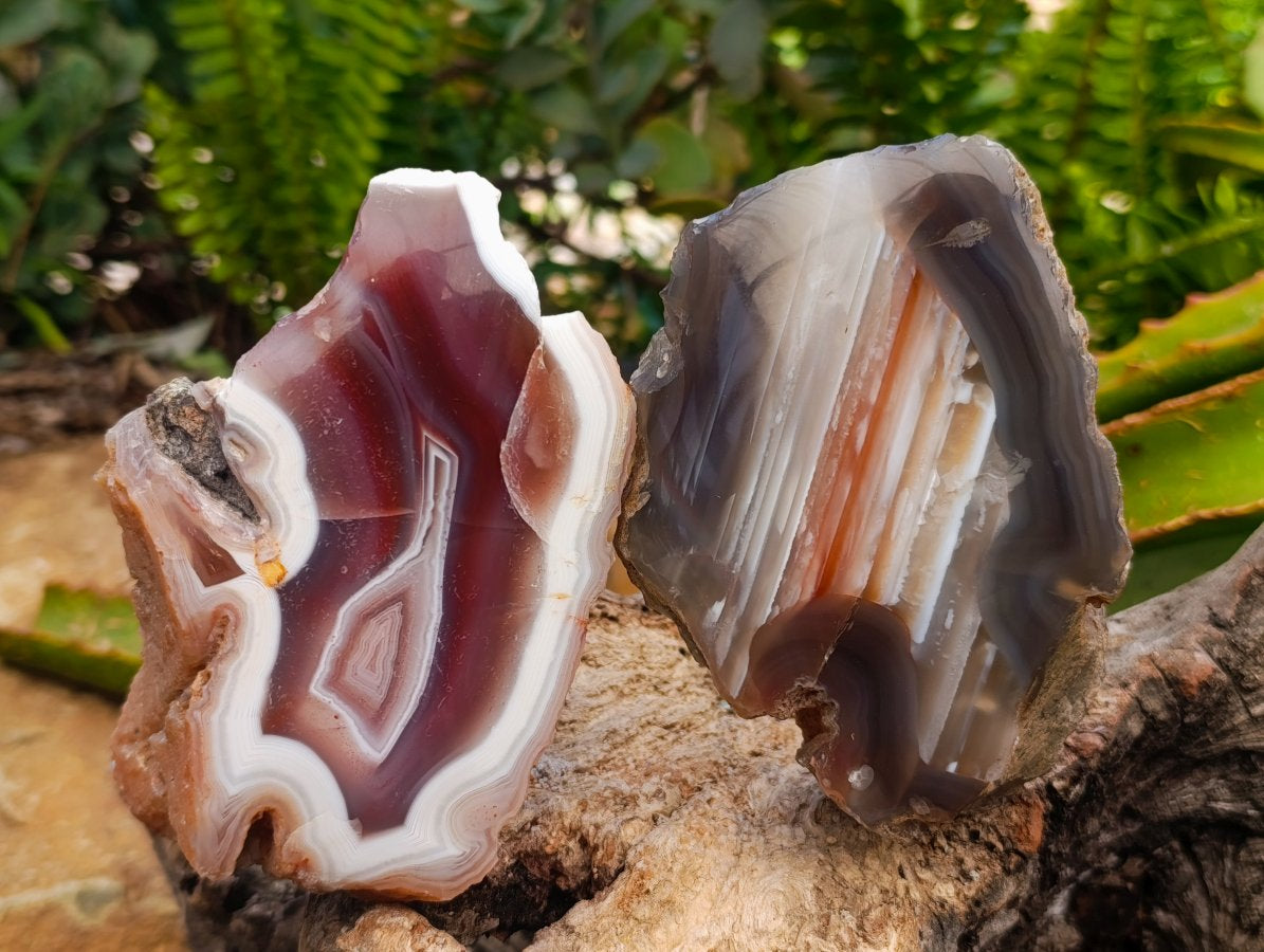 Polished On One Side Red Shashe River Agate Nodules x 4 From Shashe River, Zimbabwe