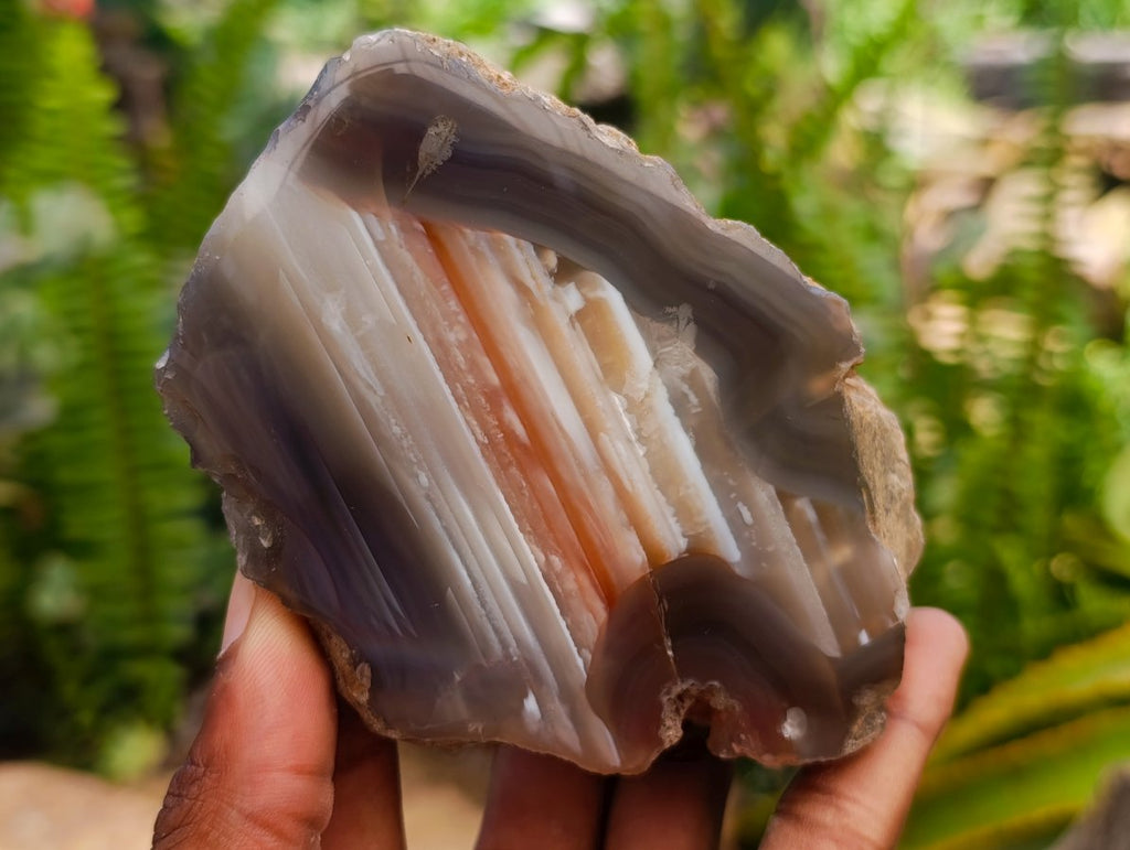 Polished On One Side Red Shashe River Agate Nodules x 4 From Shashe River, Zimbabwe