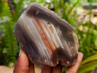 Polished On One Side Red Shashe River Agate Nodules x 4 From Shashe River, Zimbabwe