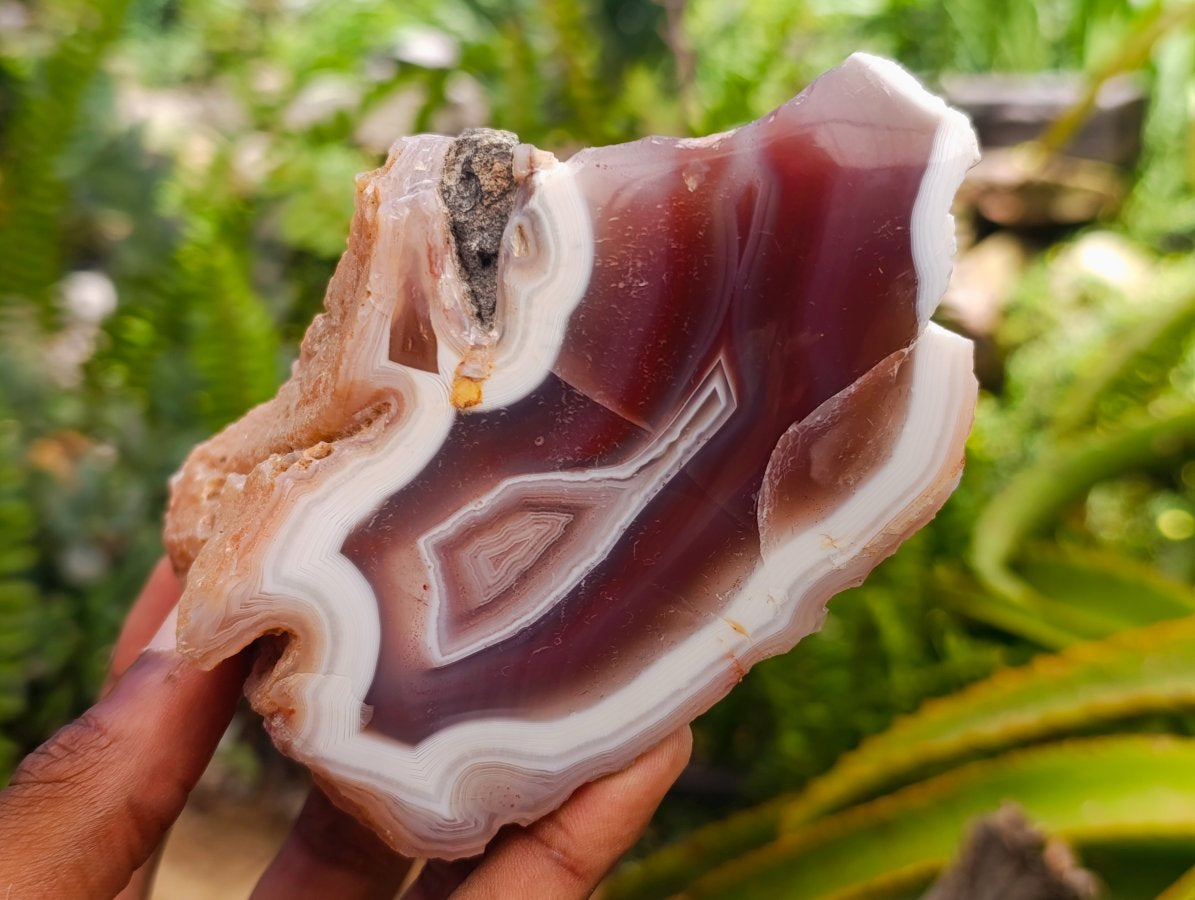 Polished On One Side Red Shashe River Agate Nodules x 4 From Shashe River, Zimbabwe