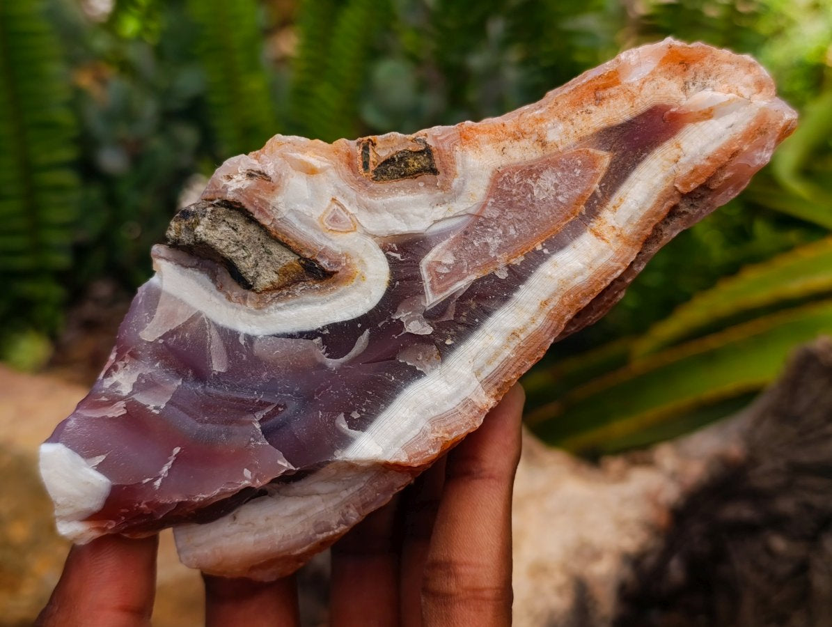 Polished On One Side Red Shashe River Agate Nodules x 4 From Shashe River, Zimbabwe