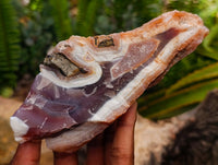Polished On One Side Red Shashe River Agate Nodules x 4 From Shashe River, Zimbabwe