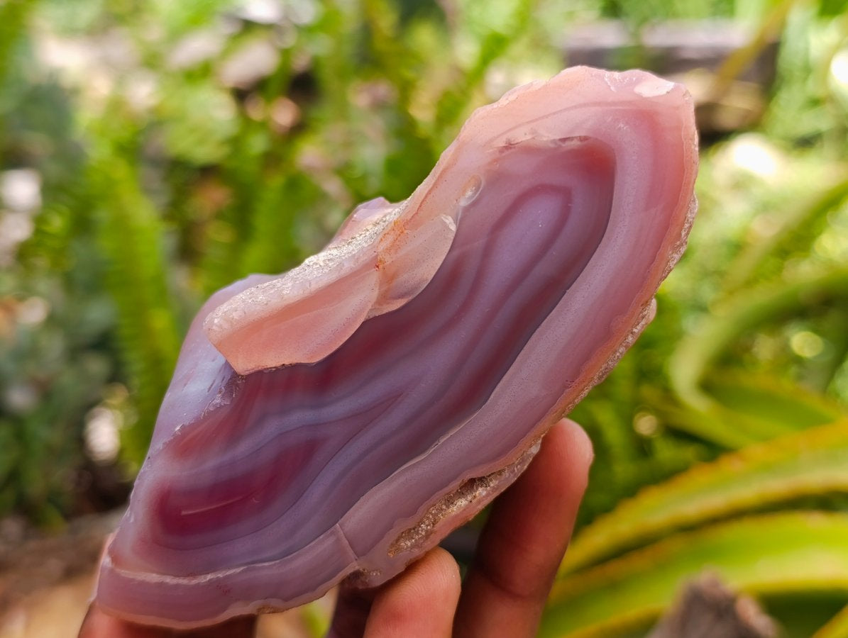 Polished On One Side Red Shashe River Agate Nodules x 4 From Shashe River, Zimbabwe