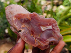 Polished On One Side Red Shashe River Agate Nodules x 4 From Shashe River, Zimbabwe
