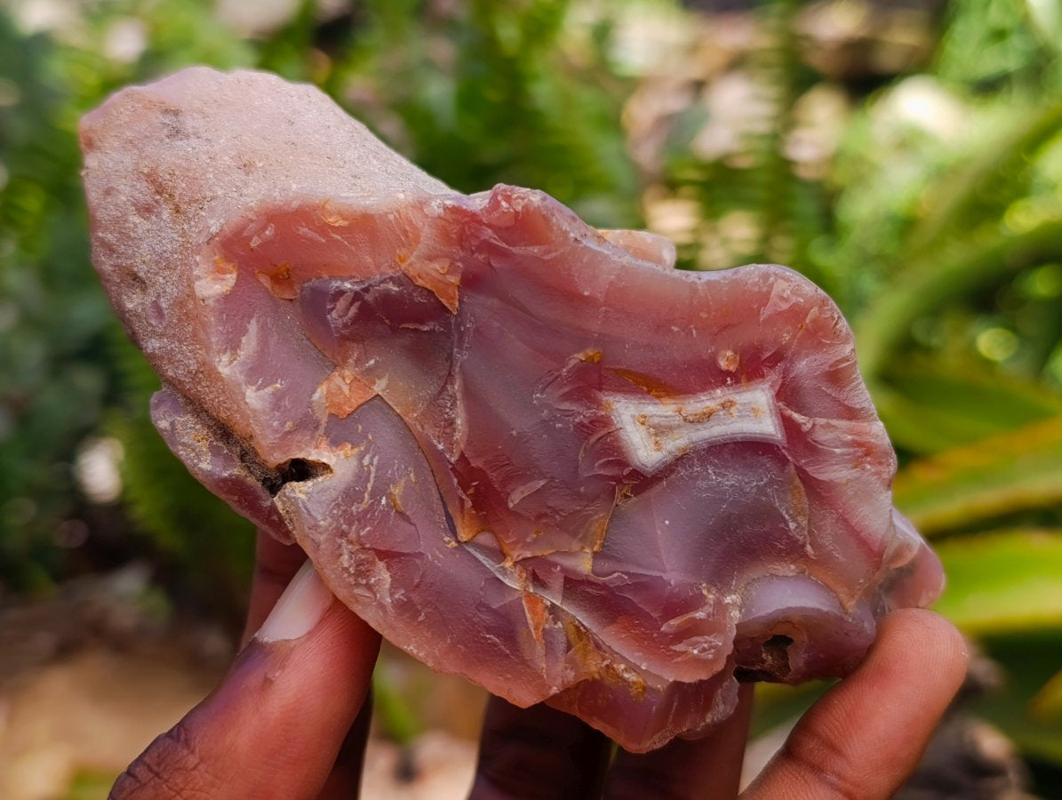 Polished On One Side Red Shashe River Agate Nodules x 4 From Shashe River, Zimbabwe