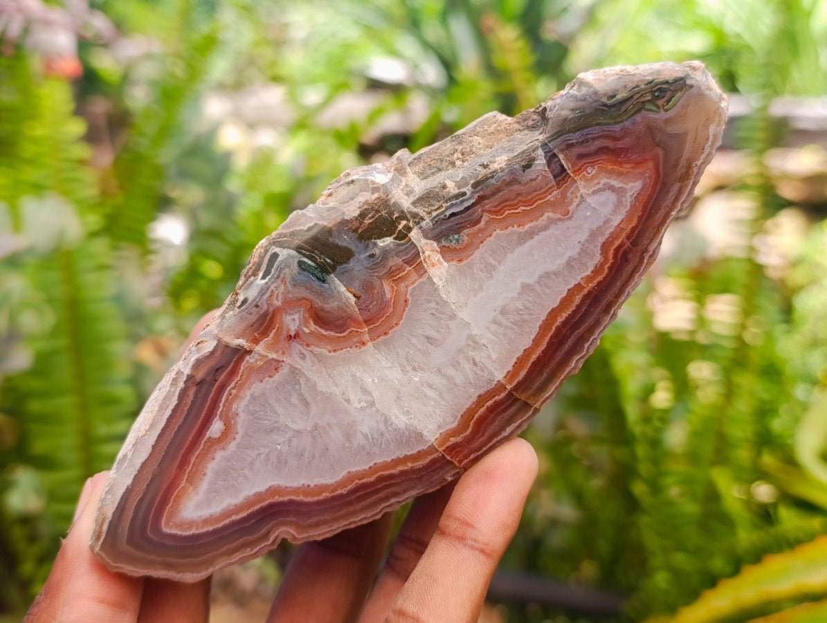 Polished On One Side Red Shashe River Agate Nodules x 4 From Shashe River, Zimbabwe
