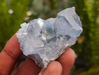 Natural Mini Blue Celestite Specimens x 59 From Sakoany, Madagascar