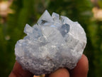 Natural Mini Blue Celestite Specimens x 59 From Sakoany, Madagascar