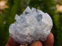 Natural Mini Blue Celestite Specimens x 59 From Sakoany, Madagascar