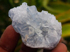 Natural Mini Blue Celestite Specimens x 59 From Sakoany, Madagascar