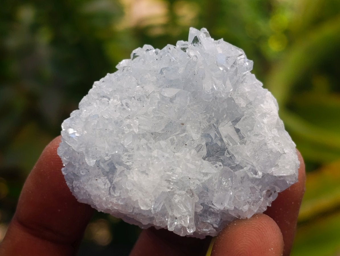 Natural Mini Blue Celestite Specimens x 59 From Sakoany, Madagascar
