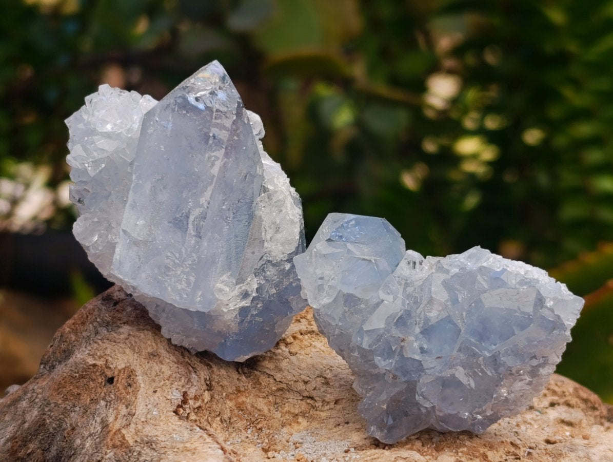 Natural Mini Blue Celestite Specimens x 59 From Sakoany, Madagascar