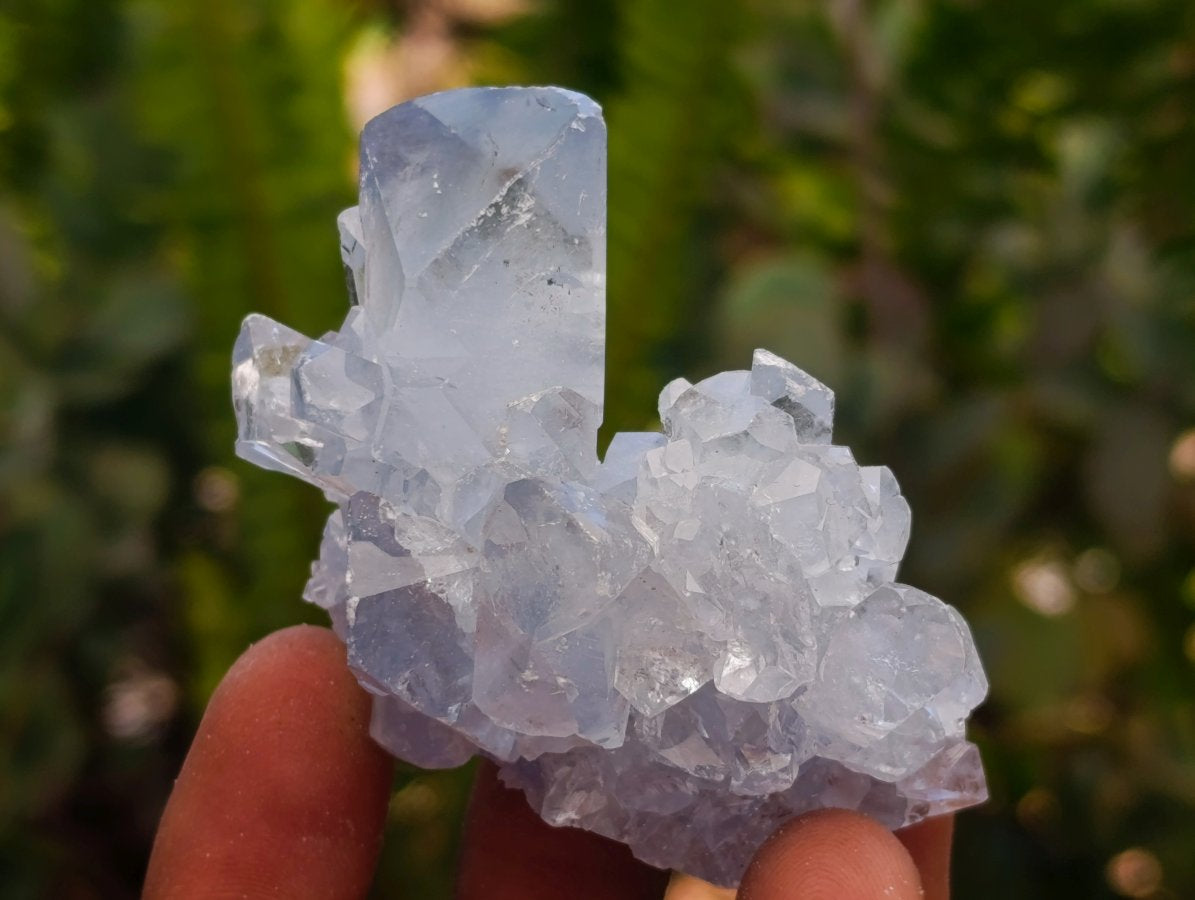 Natural Mini Blue Celestite Specimens x 59 From Sakoany, Madagascar