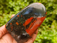 Polished Bloodstone Standing Free Forms x 2 From Swaziland
