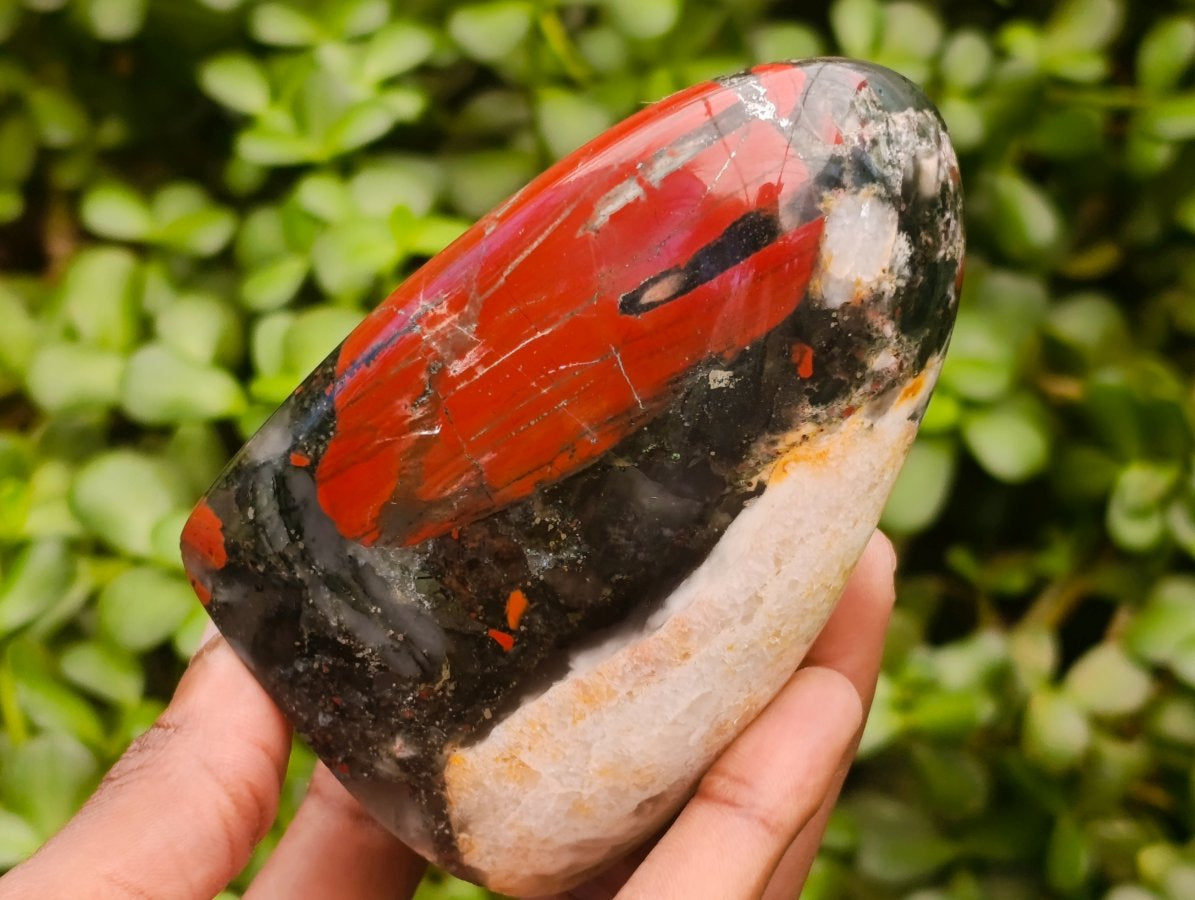 Polished Bloodstone Standing Free Forms x 2 From Swaziland