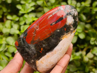 Polished Bloodstone Standing Free Forms x 2 From Swaziland