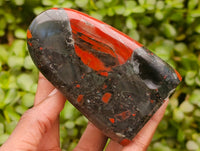 Polished Bloodstone Standing Free Forms x 2 From Swaziland