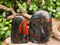 Polished Bloodstone Standing Free Forms x 2 From Swaziland