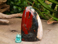 Polished Bloodstone Standing Free Forms x 2 From Swaziland