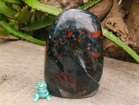 Polished Bloodstone Standing Free Forms x 2 From Swaziland