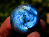 Polished Rounded Labradorite Free Forms x 70 From Madagascar