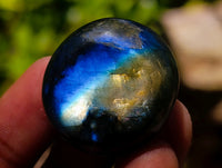 Polished Rounded Labradorite Free Forms x 70 From Madagascar
