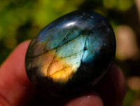 Polished Rounded Labradorite Free Forms x 70 From Madagascar