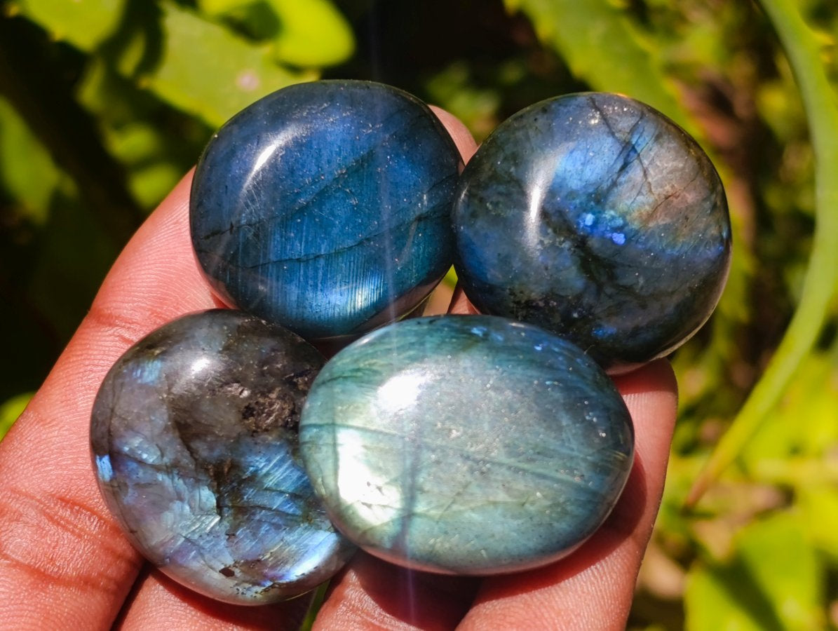 Polished Rounded Labradorite Free Forms x 70 From Madagascar