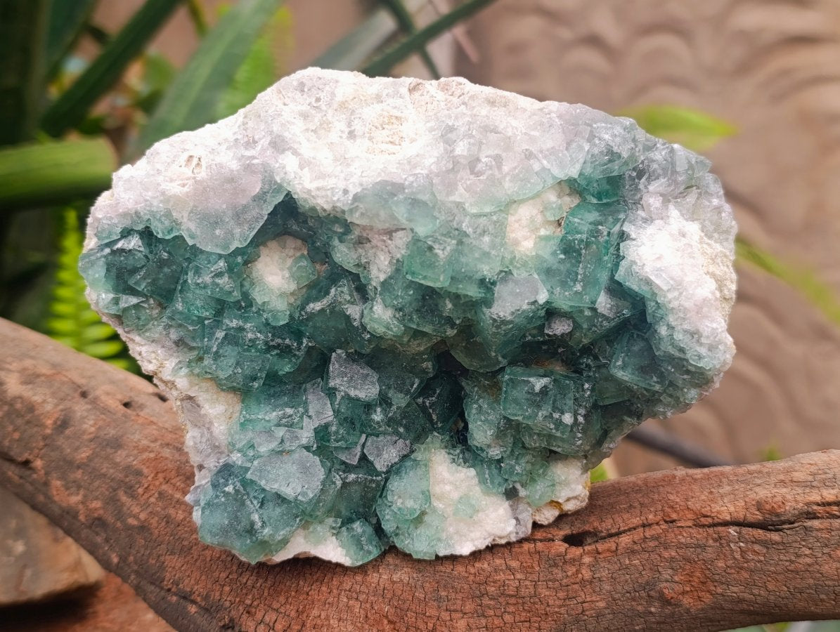 Natural Cubic Green Fluorite Cluster Specimen x 2 From Mandrosonoro, Madagascar