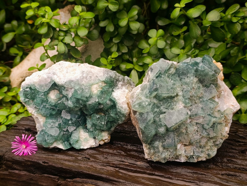 Natural Cubic Green Fluorite Cluster Specimen x 2 From Mandrosonoro, Madagascar