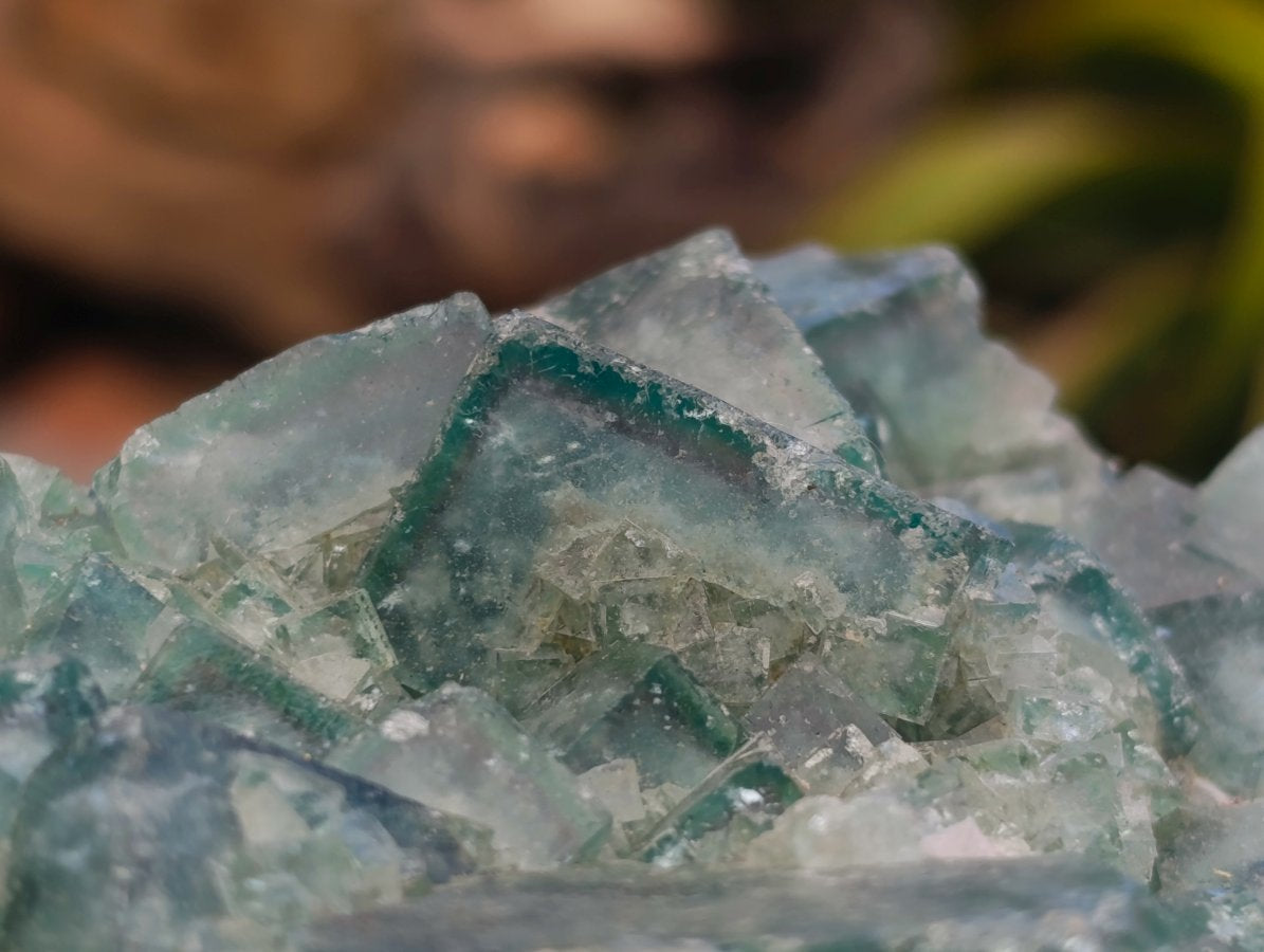 Natural Cubic Green Fluorite Cluster Specimen x 2 From Mandrosonoro, Madagascar